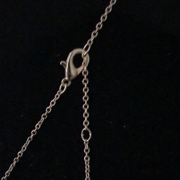 Heart ❤️ Necklace! - Picture 4 of 6